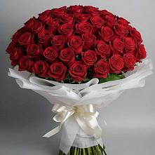 Букет 101 Красная роза Блэк Мэджик в Прокопьевске