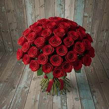 Букет 55 Красных роз Фридом #REPLACE_PRED# Прокопьевске