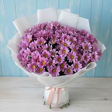 Букет цветов из:  Хризантемы в Прокопьевске