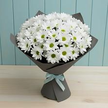 Букет цветов из:  Хризантемы в Прокопьевске