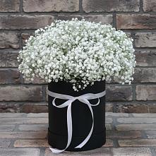 Цветочная композиция из Гипсофила в шляпной коробке в Прокопьевске