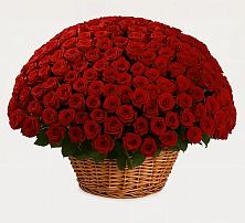 Премиум букет из: Розы в Прокопьевске