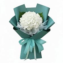 Букет цветов из:  Гортензия в Прокопьевске